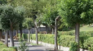 Image of Wassersport-Appartements am Stößensee