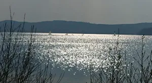Image of Ferien am See