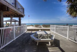 Image of Sunbird Paradise - 1383972