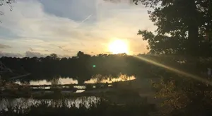 Image of Vakantiehuisje Specht