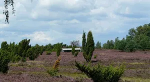 Image of Holiday Park Auf dem Simpel