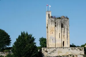 Image of Passiflore