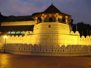 Image of The Buena Vista Kandy
