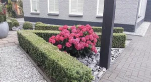 Image of Sfeervolle 2 persoons studio in Bakkeveen