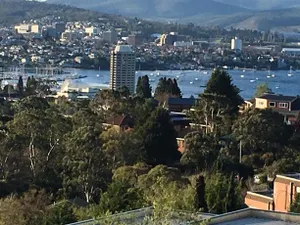 Image of The Lookout