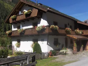 Image of Bauernhof Haflingerhof