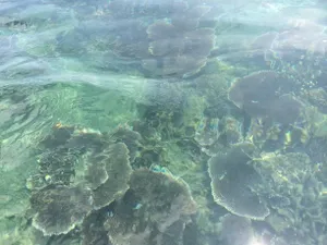 Image of Damai Tioman Resort