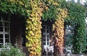 Image of Landhaus Renken am See