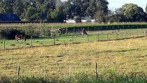 Image of B&B Charming Farmhouse