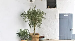 Image of Wunderschöne Ferienwohnung