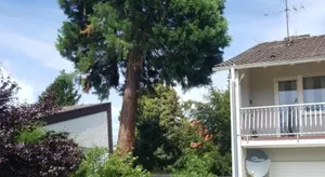 Image of Ferienwohnung Schlossblick