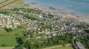 Image of la glycine