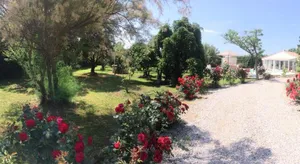 Image of Mazet Provencal Saint-Gilles