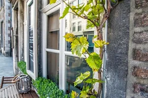 Image of B&B Gracht 62