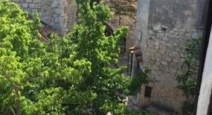 Image of Le nid d aigle