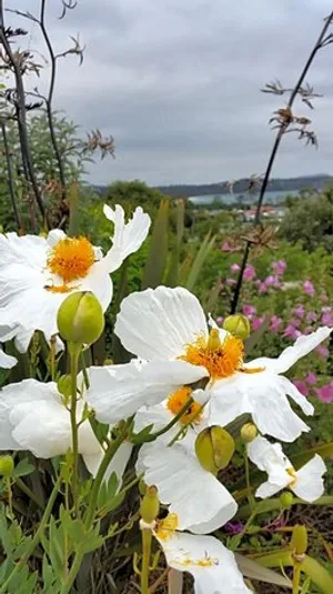 Image of Beezneez B&B