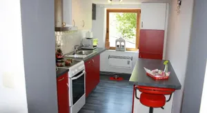 Image of Lesse matinal