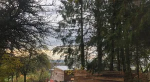 Image of Maison et sauna dans les bois