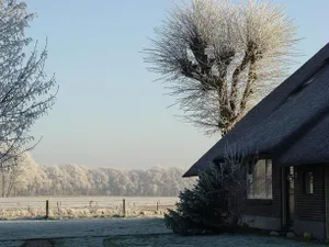 Image of Erve Ziegers