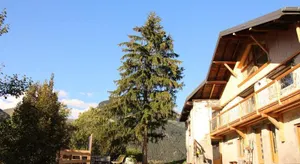 Image of Le Chalet des Eulets