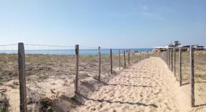 Image of Appartement CAPBRETON face à l'océan sans vis à vis, avec piscine