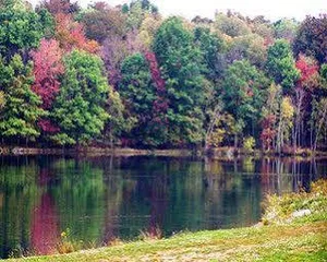 Image of Wolf Run Manor at Treasure Lake