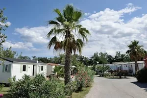 Image of CAMPING LE CLOS DU THYM