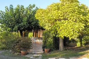 Image of Le violet