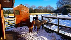 Image of The Secret Cottage