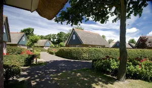 Image of Strandhuis Sint Maartenzee