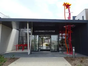 Image of DOMITYS Les Vignes Pourpres