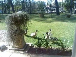 Image of Between Waters B&B