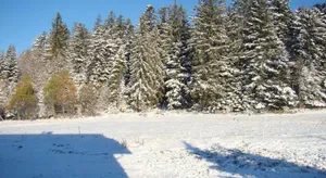 Image of La Ferme Du Levant