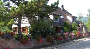 Image of Le Sonnenglanz