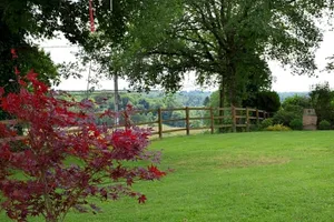 Image of Libellule