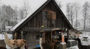 Image of Getreidekasten auf einer Lamafarm