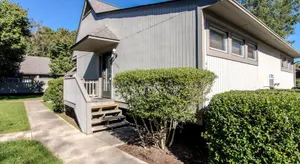 Image of Sea Colony - 4003 Volley