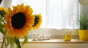 Image of Relax Aachener Board Appartements Phase 4