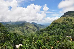 Image of Ella HIDE VIEW