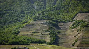 Image of Le Petit Beurre de cacahuète et Le Poivre et Sel