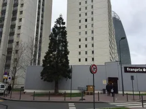 Image of Grand Studio à la Défense