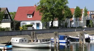Image of Muschel