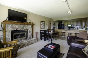 Image of Bronze Tree Condominiums - BT105