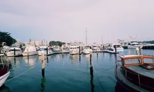 Image of Tranquility