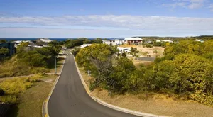 Image of The Lazy Lizard