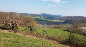 Image of Ferienwohnung Sander