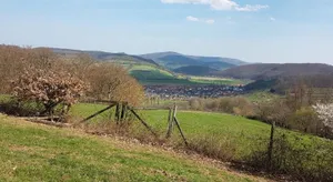 Image of Ferienwohnung Sander