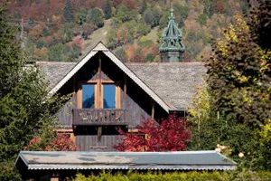Image of Coeur De Lion