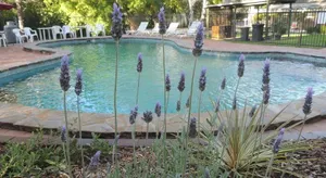 Image of Belair National Park Holiday Park