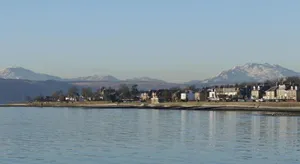 Image of The Lookout
